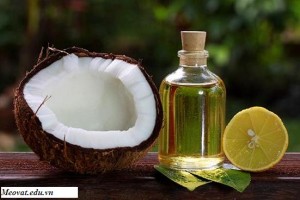 Dầu dừa là thực phẩm nên sẵn có trong bếp, dau dua la thuc pham nen san co trong bep