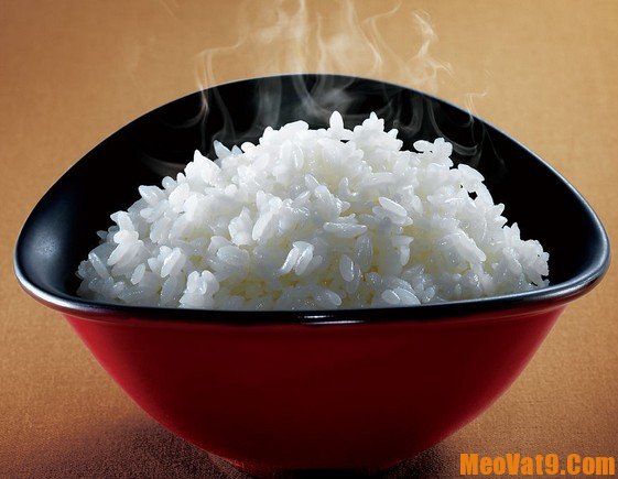 Cách bảo quản gạo sau khi mua