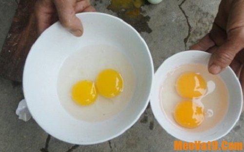 Nhận biết trứng gà tẩy trắng đơn giản nhất.