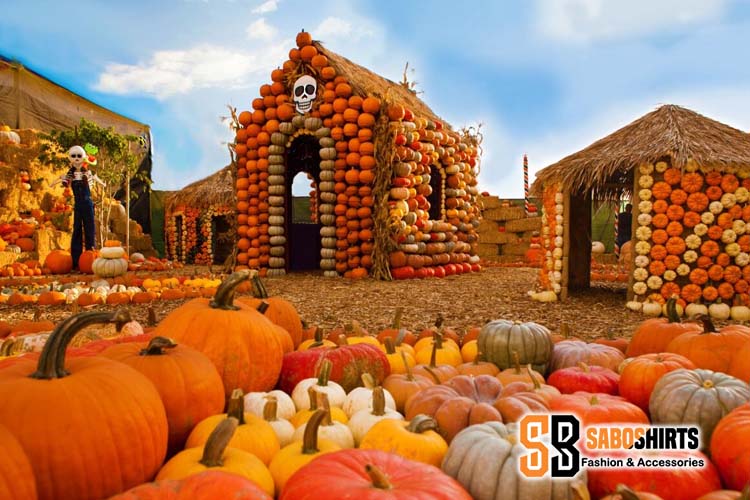 Haunted Hayloft and Pumpkin Patches – Family-Friendly Adventures - Best places to visit for Halloween in Los Angeles